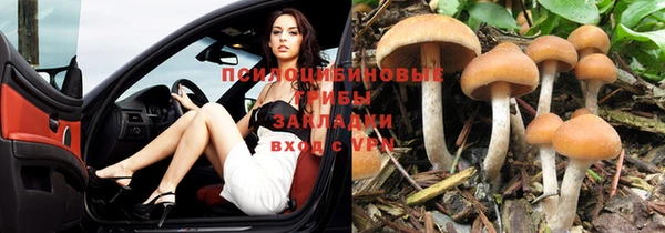 наркотики Няндома